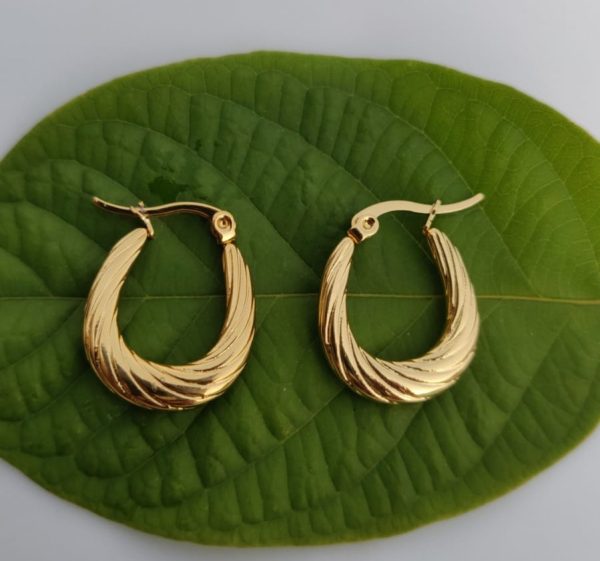 Premium Quality Baliyan 1k Gold | Earrings Tops For Girls & Women