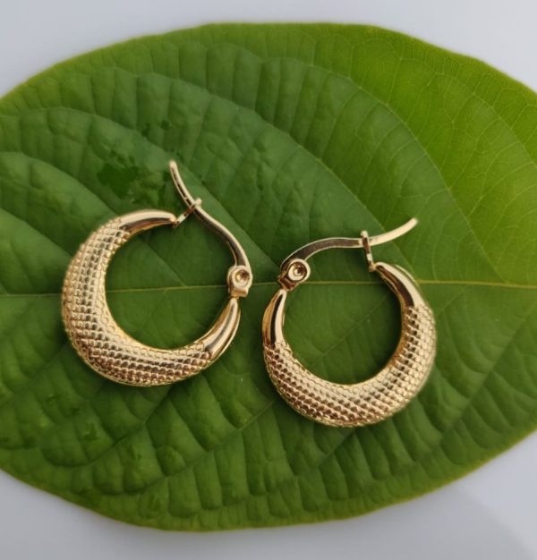 Premium Quality Baliyan 1k Gold | Earrings Tops For Girls & Women